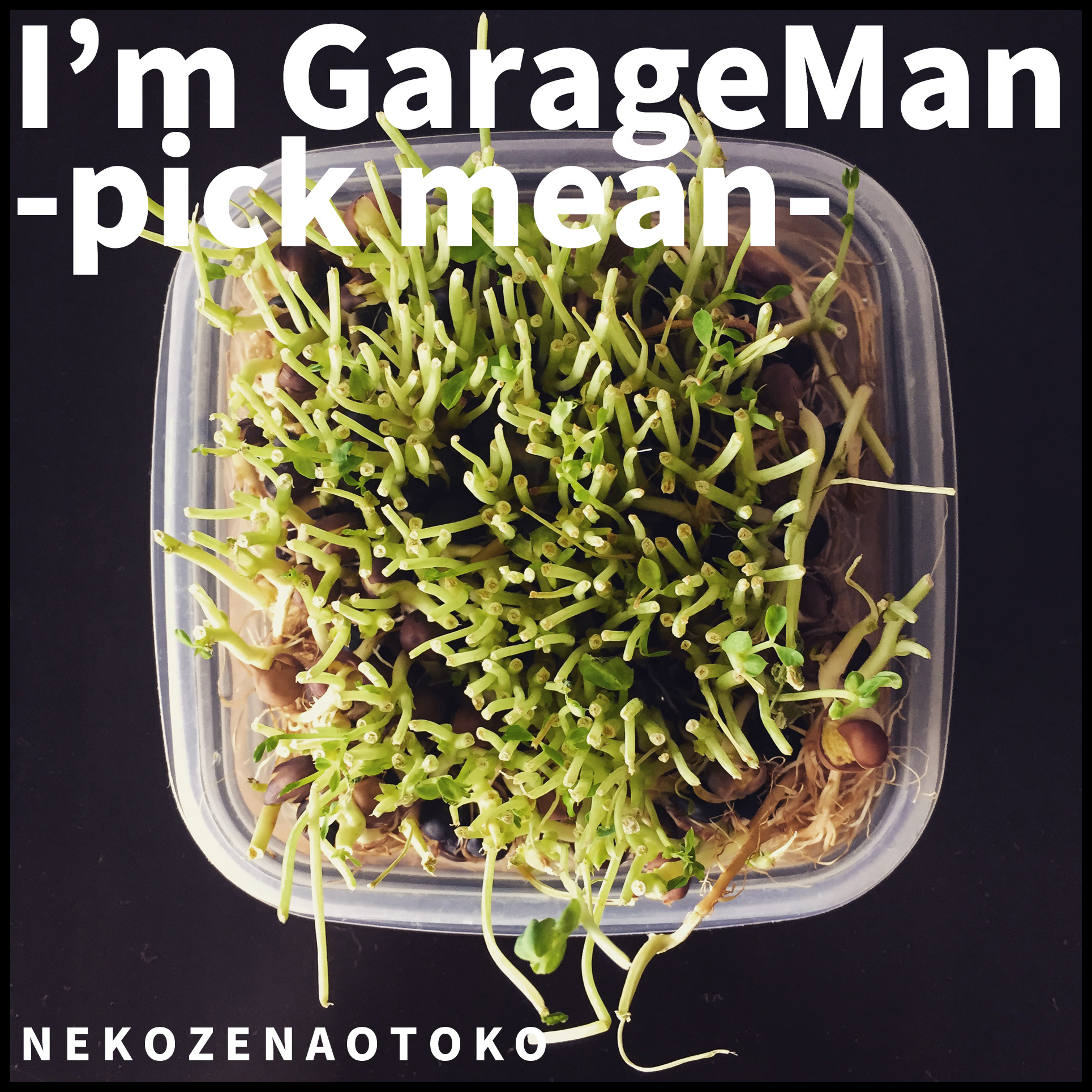I’m GarageMan -pick mean-