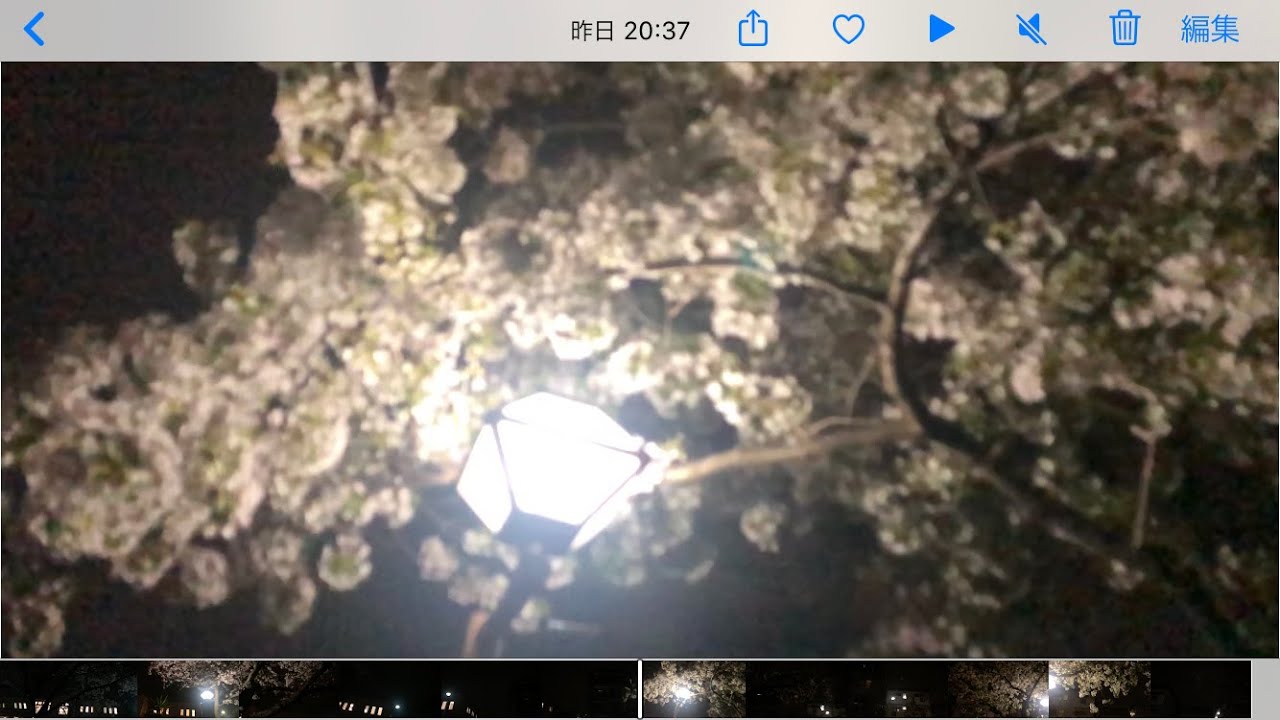 春来 / 初音ミク